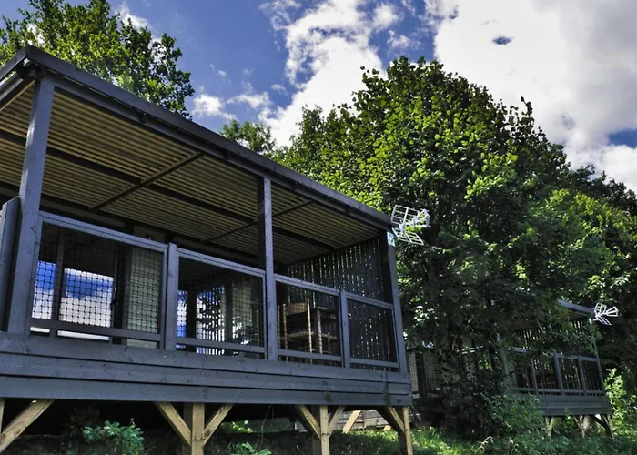 Camping Cosy De 6 Personnes Avec Terrasse à - Api-1-52-1255 Vic-sur-Cère